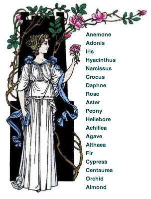 The Mythology of Flower Symbolism: From Ancient to Modern Times